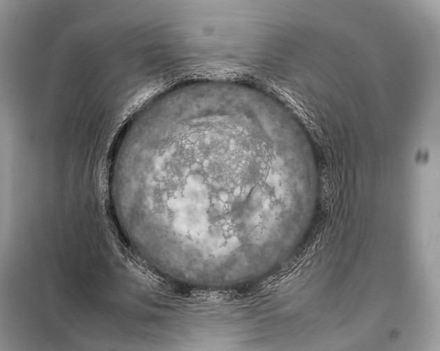 X0000097920679200804111140