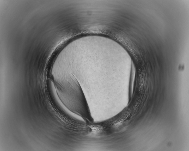 X0000097920680200804111140