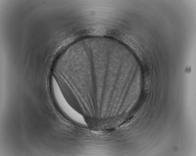 X0000097920681200804111140