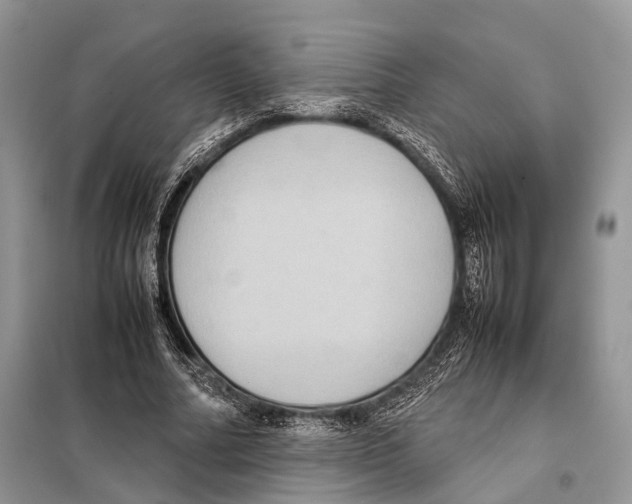 X0000097920682200804111140