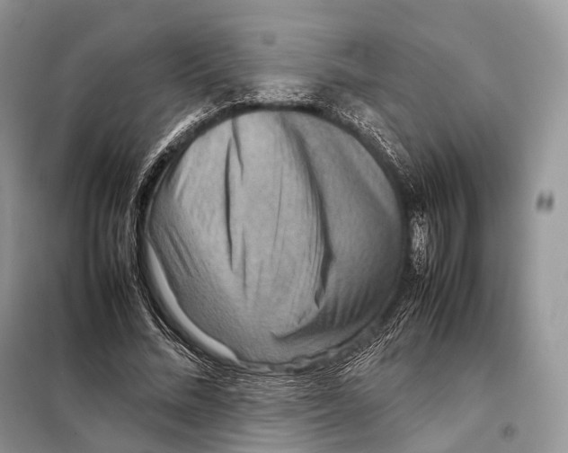 X0000097920684200804111140