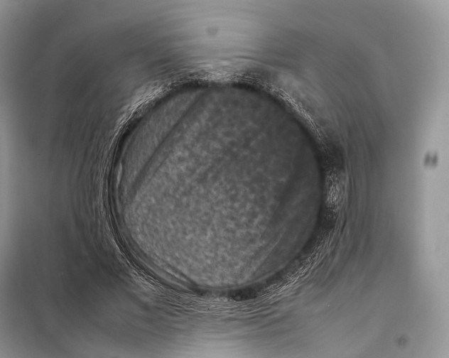 X0000097920685200804111140