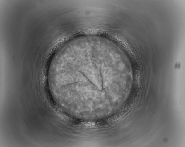 X0000097920687200804111140