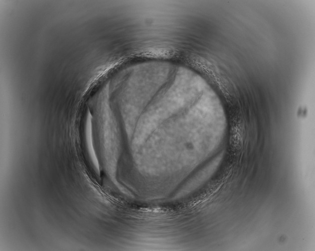 X0000097920688200804111140