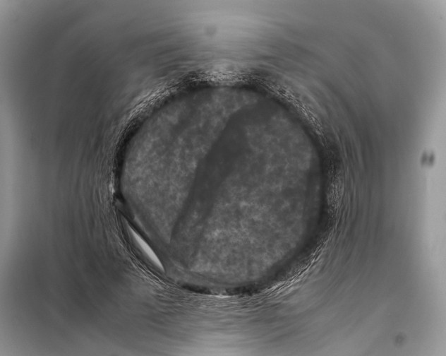 X0000097920689200804111140