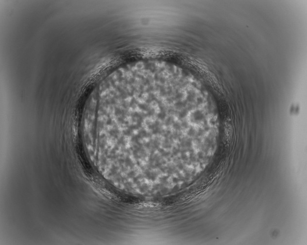 X0000097920691200804111140