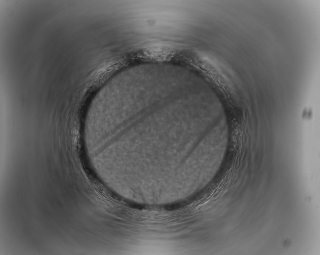 X0000097920693200804111140