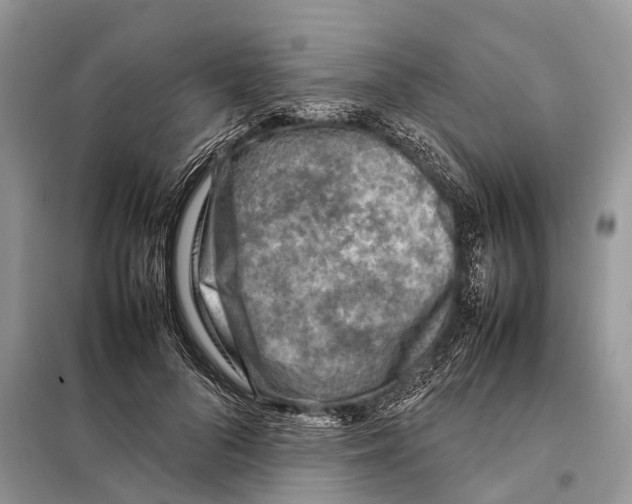 X0000097920696200804111140