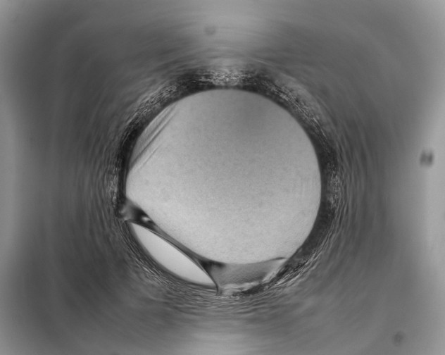 X0000097920697200804111140