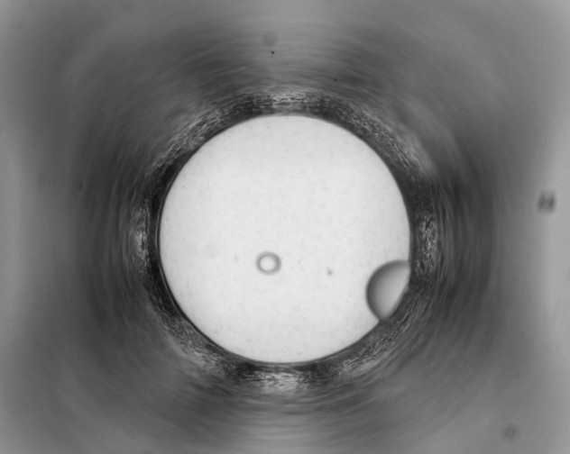 X0000097920698200804111140