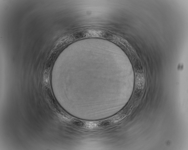 X0000097920701200804111140