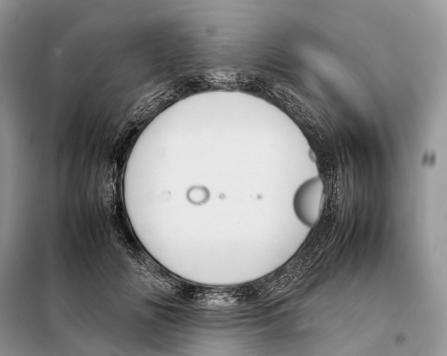 X0000097920702200804111140