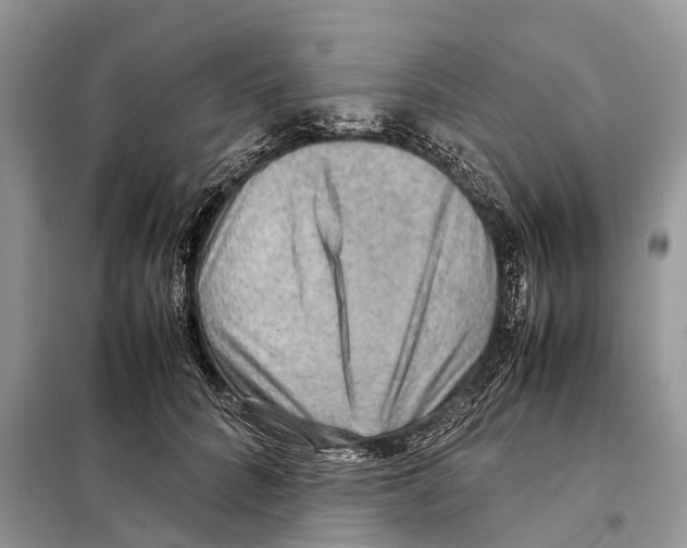 X0000097920704200804111140