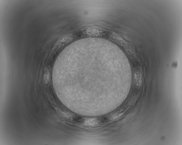 X0000097920705200804111140