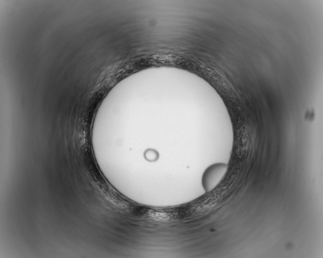 X0000097920706200804111140