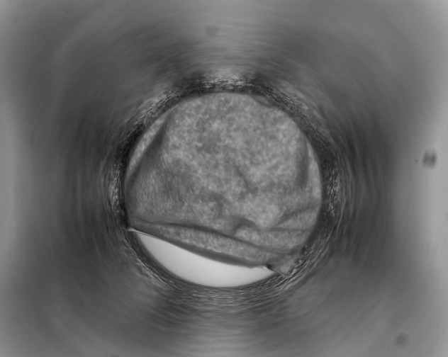 X0000097920708200804111140