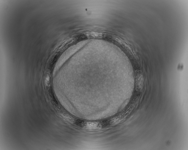 X0000097920709200804111140