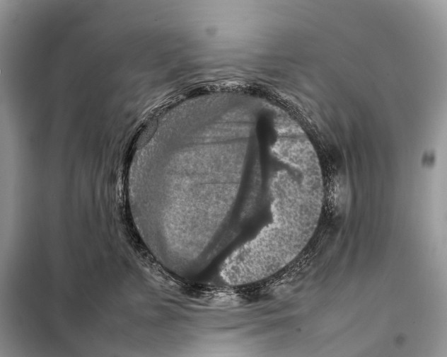 X0000097920715200804111140