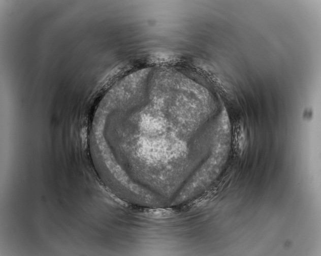 X0000097920716200804111140