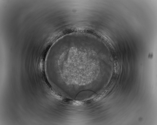 X0000097920718200804111140