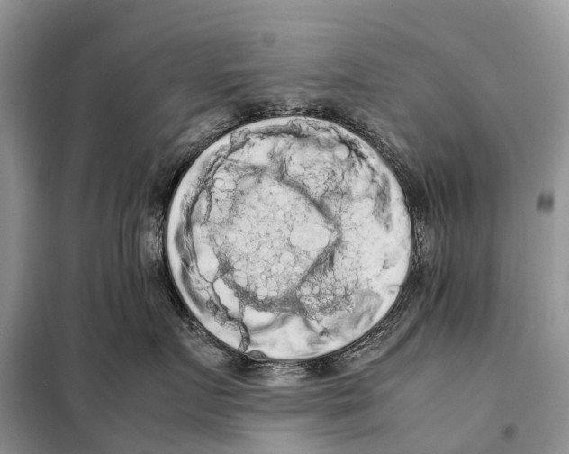 X0000097920719200804111140