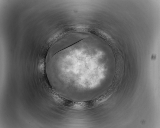 X0000097920720200804111139