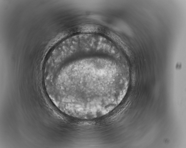 X0000097920721200804111139