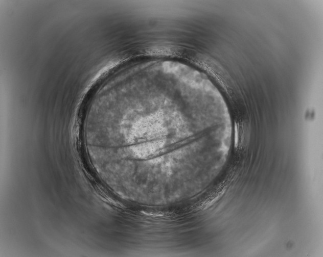 X0000097920723200804111139