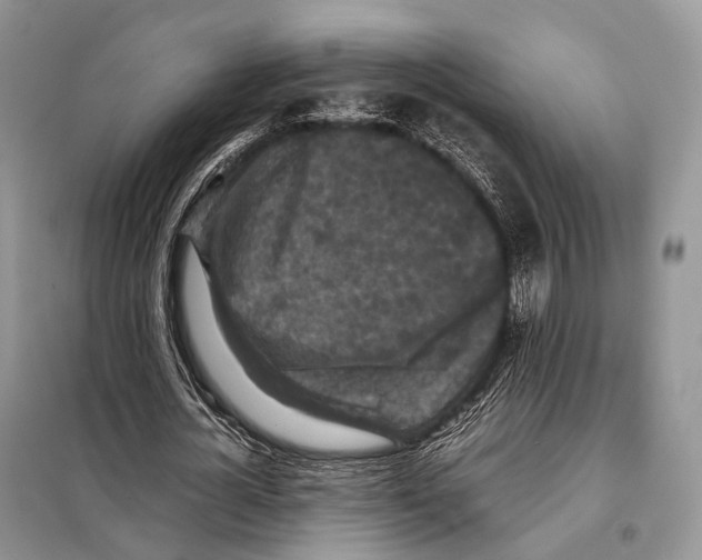 X0000097920724200804111139