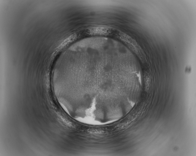 X0000097920729200804111139