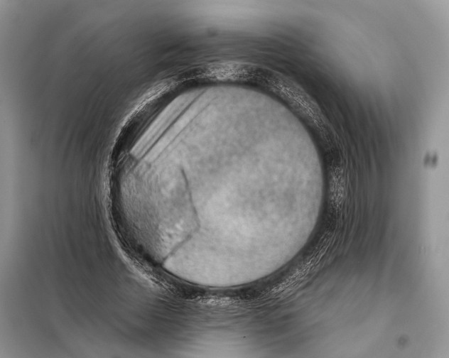 X0000097920730200804111139