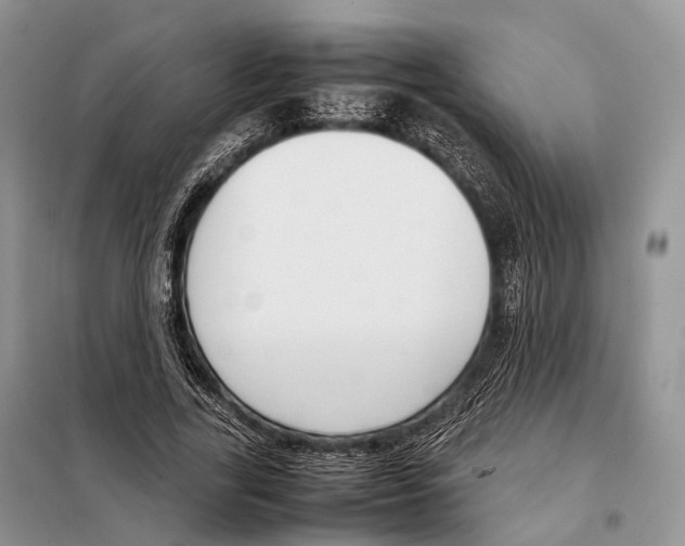 X0000097920731200804111139