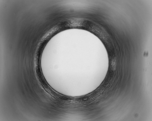 X0000097920732200804111139