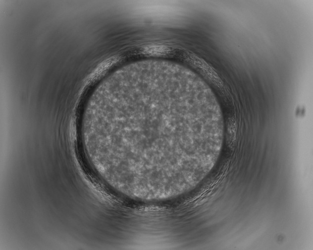 X0000097920734200804111139