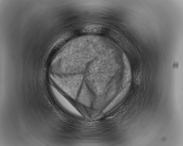 X0000097920735200804111139