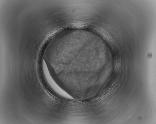 X0000097920736200804111139