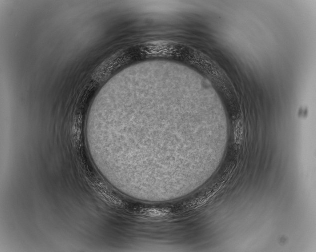 X0000097920737200804111139