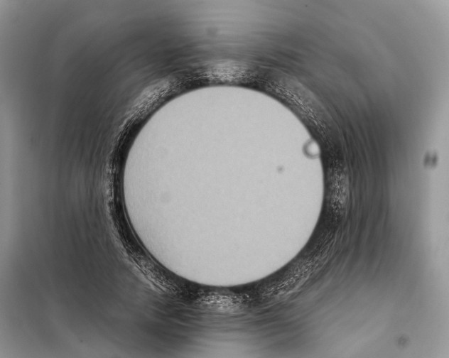 X0000097920738200804111139