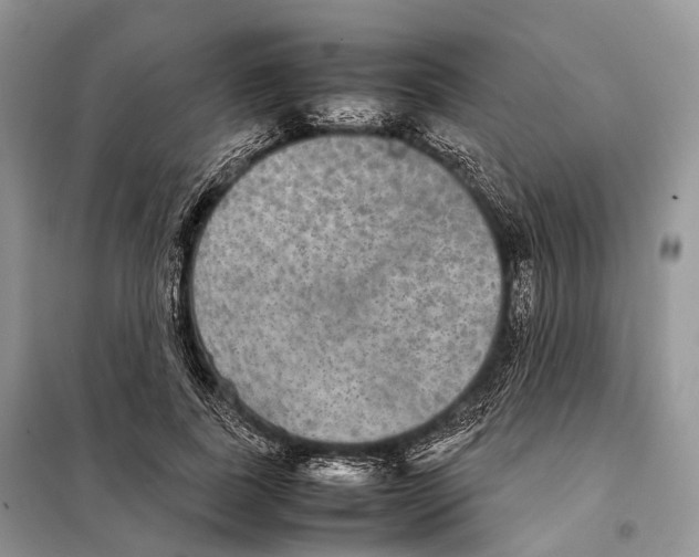 X0000097920739200804111139