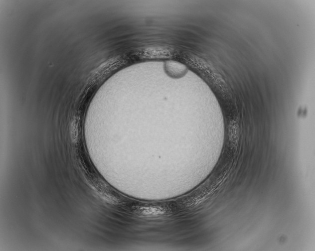 X0000097920741200804111139