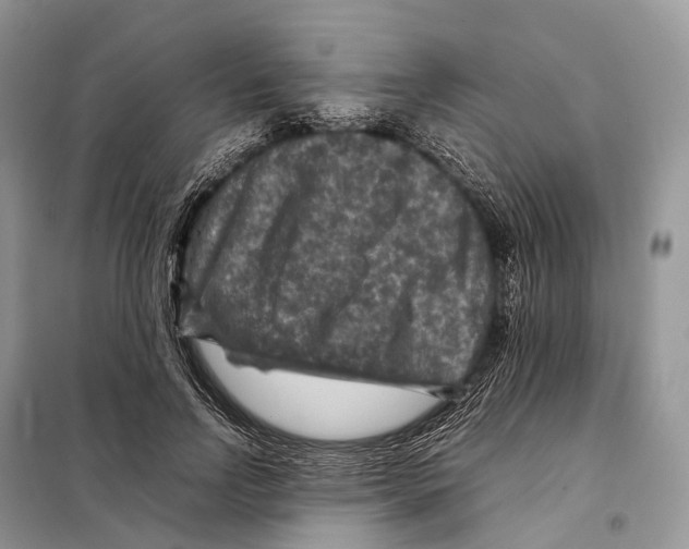 X0000097920742200804111139