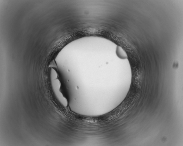 X0000097920746200804111139