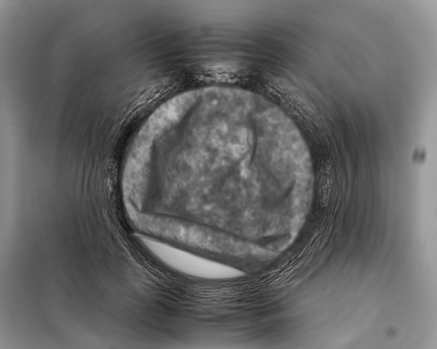 X0000097920747200804111139