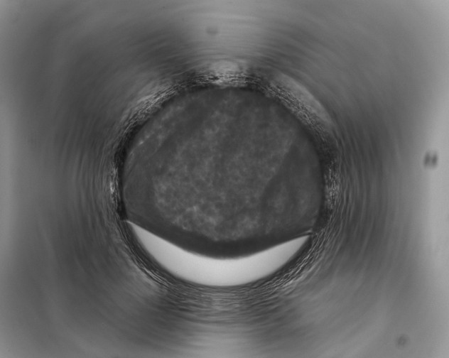 X0000097920748200804111139