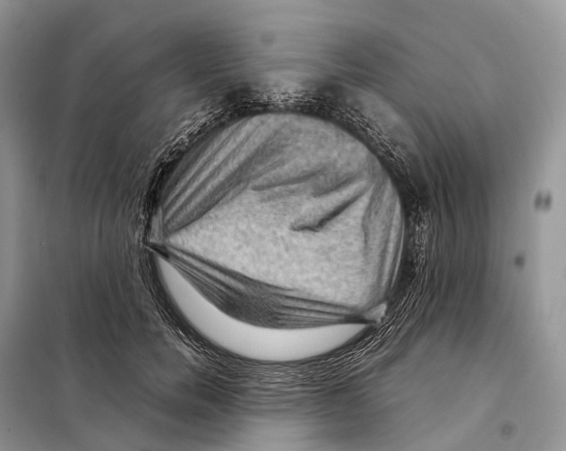 X0000097920750200804111139