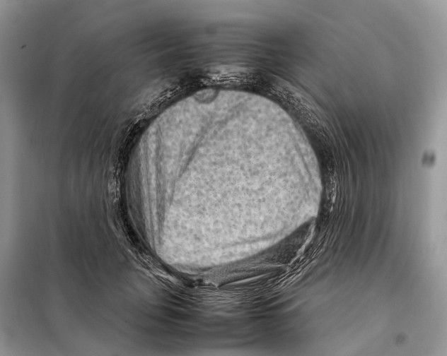 X0000097920751200804111139