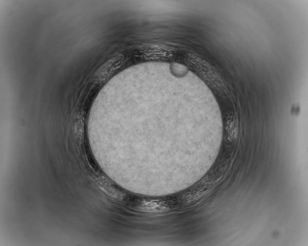 X0000097920753200804111139