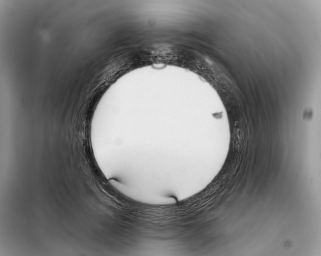 X0000097920756200804111139