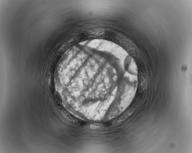 X0000097920758200804111139