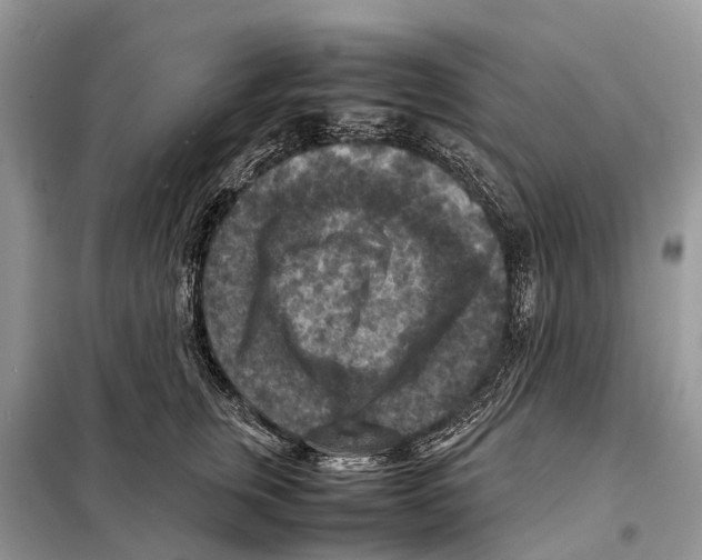 X0000097920759200804111139